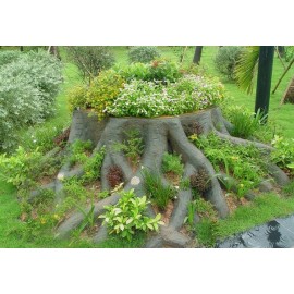 Декорация в пеньке